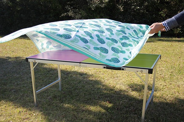 SPICE of Life レジャーテーブル バカンス バイカラーキャリー卓球台