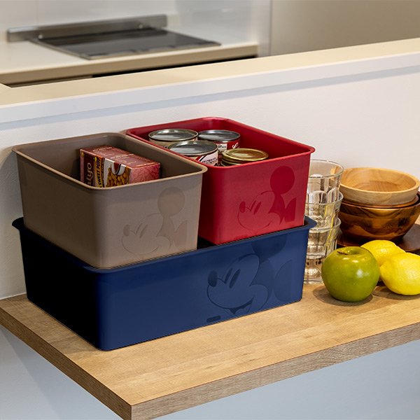 Disney（ディズニー） 収納ボックス フタ付き レギュラーサイズ