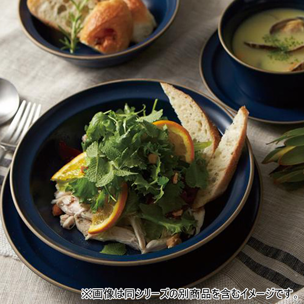 プレート 16cm S エッジライン 陶器 食器 同色5枚セット （ 食洗機対応