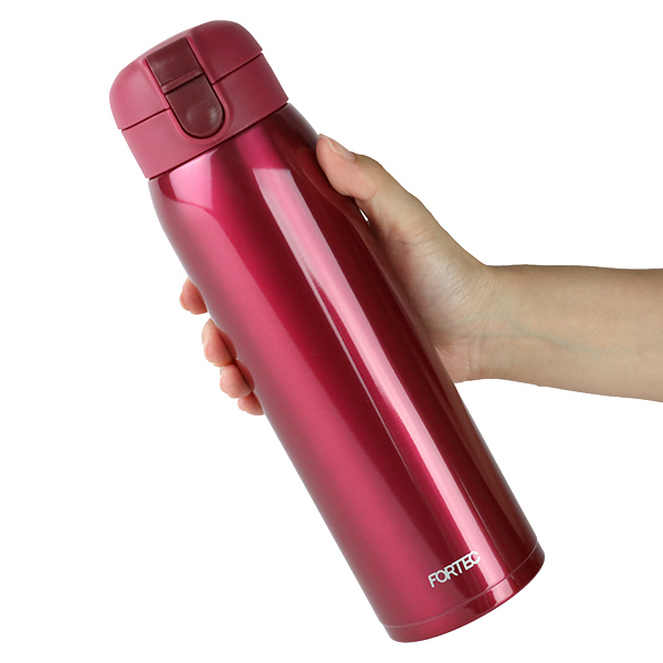 FORTEC 水筒 フォルテック・パーク ワンタッチ栓 マグボトル 800ml