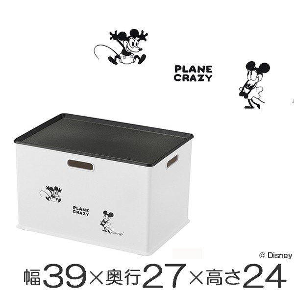 Disney（ディズニー） □在庫限り・入荷なし□ 収納ボックス イン