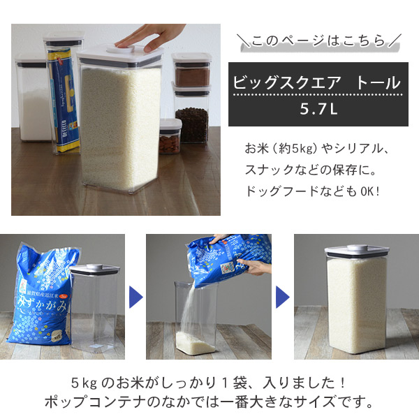 OXO（オクソー） ポップコンテナ2 ビッグスクエア トール 5.7L （ 保存