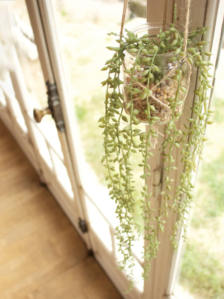 人工観葉植物 エクリア 消臭アーティフィシャル...の詳細画像4