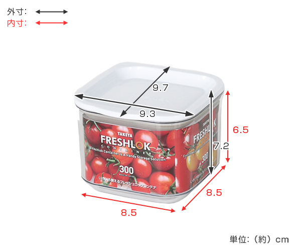 TAKEYA（タケヤ） 保存容器 フレッシュロックコンテナ SS 300ml