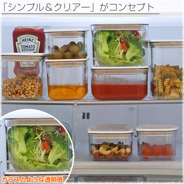中型食品保存容器 TAKEYA（タケヤ） 保存容器 フレッシュロックコンテナ SS 300ml
