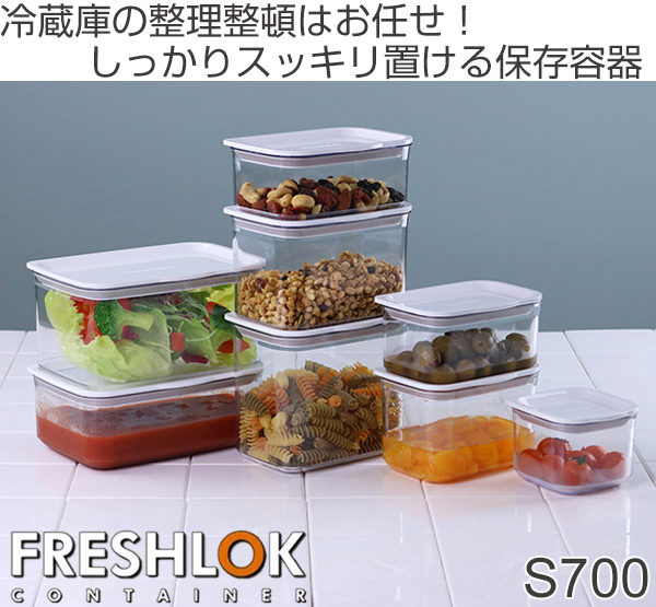 TAKEYA（タケヤ） 保存容器 フレッシュロックコンテナ S 700ml （ 密閉