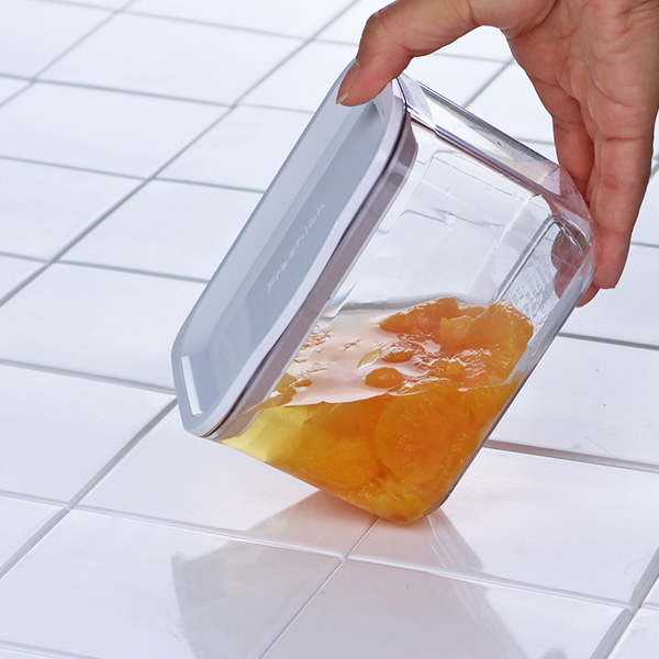 TAKEYA（タケヤ） 保存容器 フレッシュロックコンテナ S 700ml （ 密閉