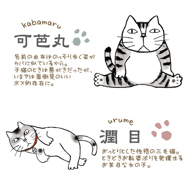 ちゃめ猫様 専用 サーモス水筒2点セット - 食器