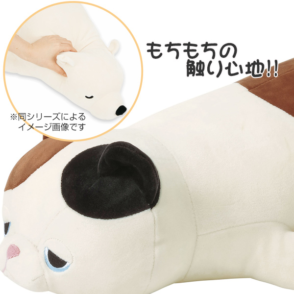 抱き枕 ぬいぐるみ ネコ プレミアムねむねむアニマルズ ゆず Mサイズ