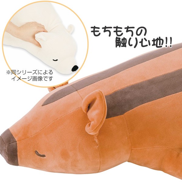　キャラクターグッズ Amazon | キャラクタースリーブコレクション プラチナグレード Z