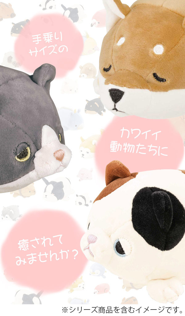 ぬいぐるみ マスコット マシュマロアニマル ネコ ゆず （ ヌイグルミ