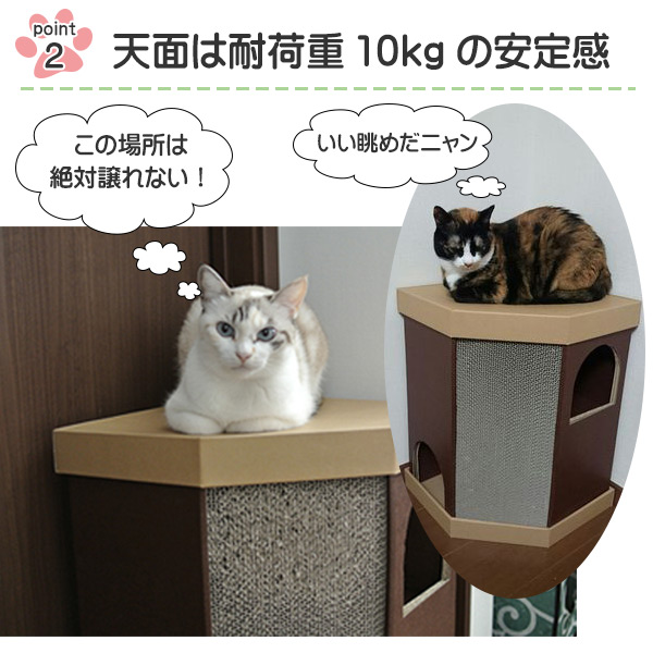 キャットハウス 2階建て またたび 爪とぎ付き 猫 nekoto コーナー