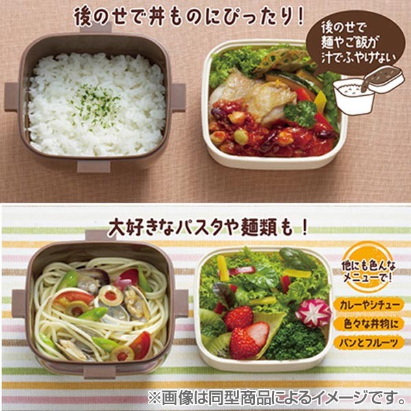 スケーター お弁当箱 4点ロック サラダランチボックス となりの