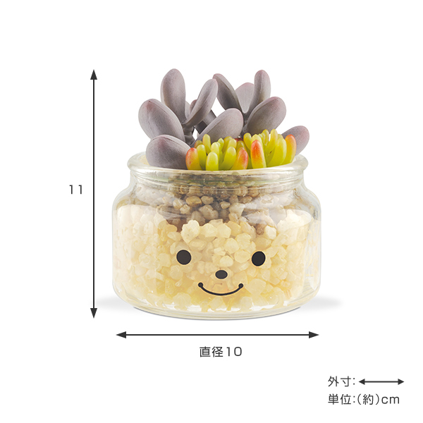 フェイクグリーン 人工観葉植物 ファミーユ 消...の詳細画像2