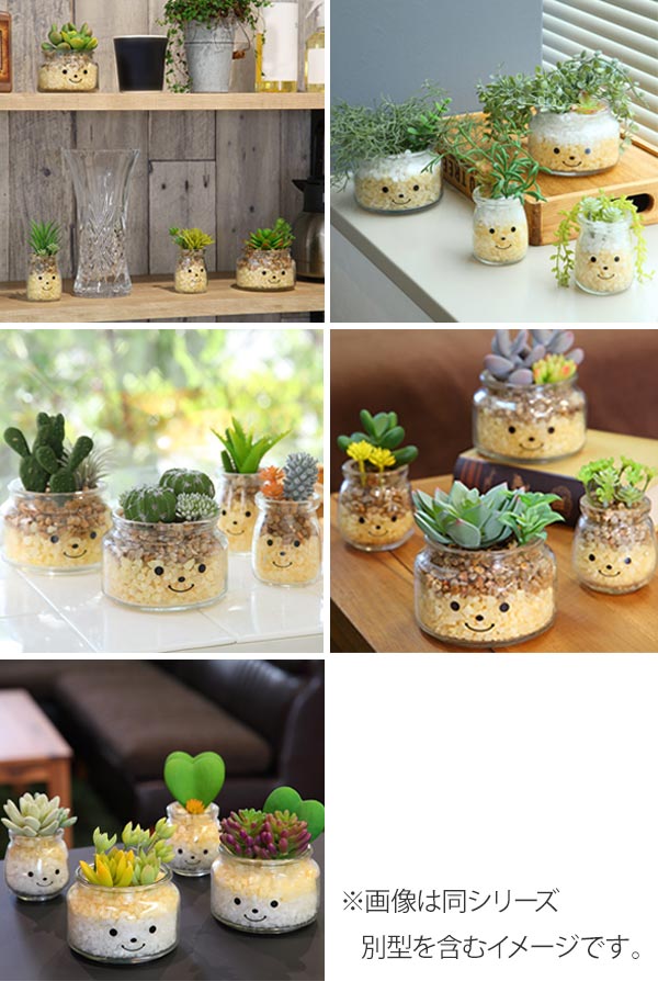 フェイクグリーン 人工観葉植物 ファミーユ 消...の詳細画像3