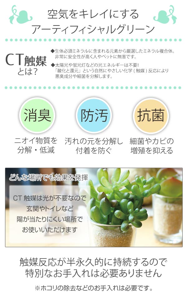 フェイクグリーン 人工観葉植物 ファミーユ 消...の詳細画像4