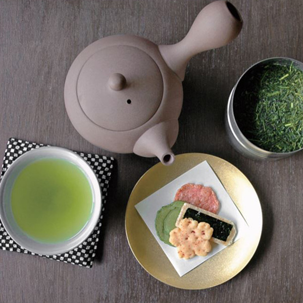 急須 300ml 常滑焼 陶器製 日本製 白 （ ティーポット お茶 茶こし一