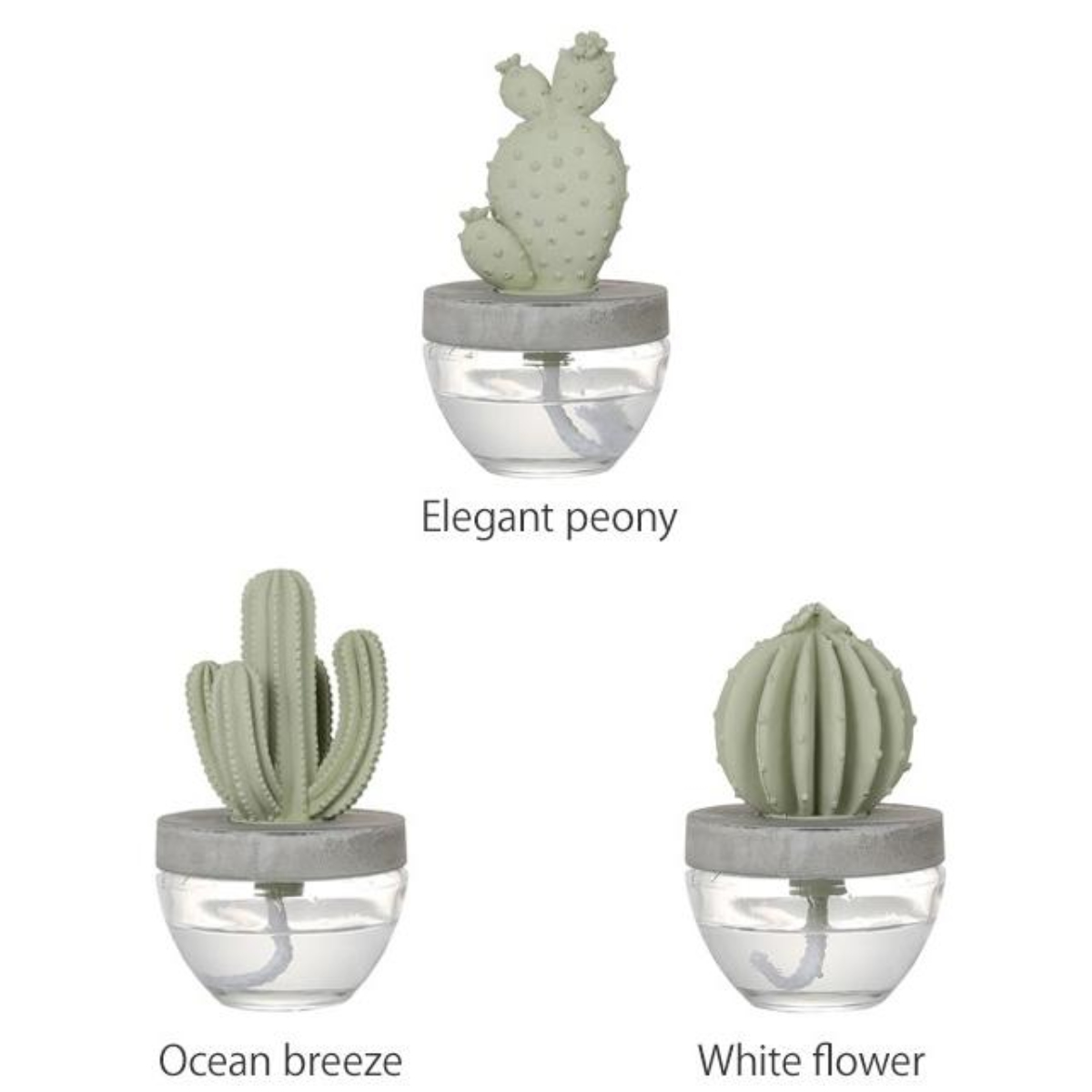 DULTON（ダルトン） ディフューザー カクタスフレグランス