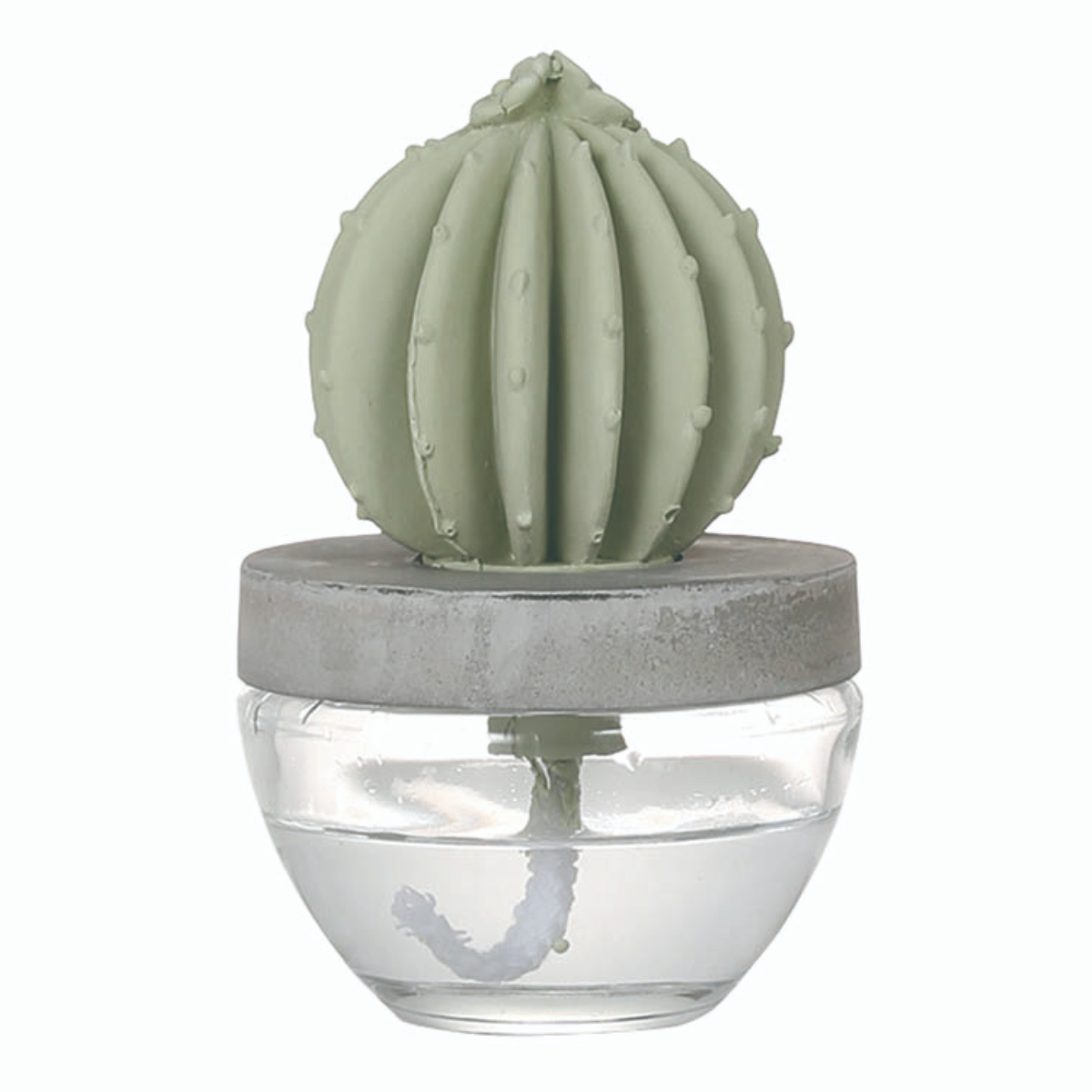 ヤングリビング　カクタス　アロマディフューザー プレミアム キット カクタス ディフューザー発売開始のお知らせ