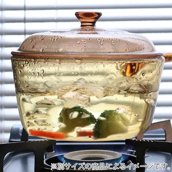 パール金属 両手鍋 1.5L ガラス製 VISIONS クックポット （ ガス火専用