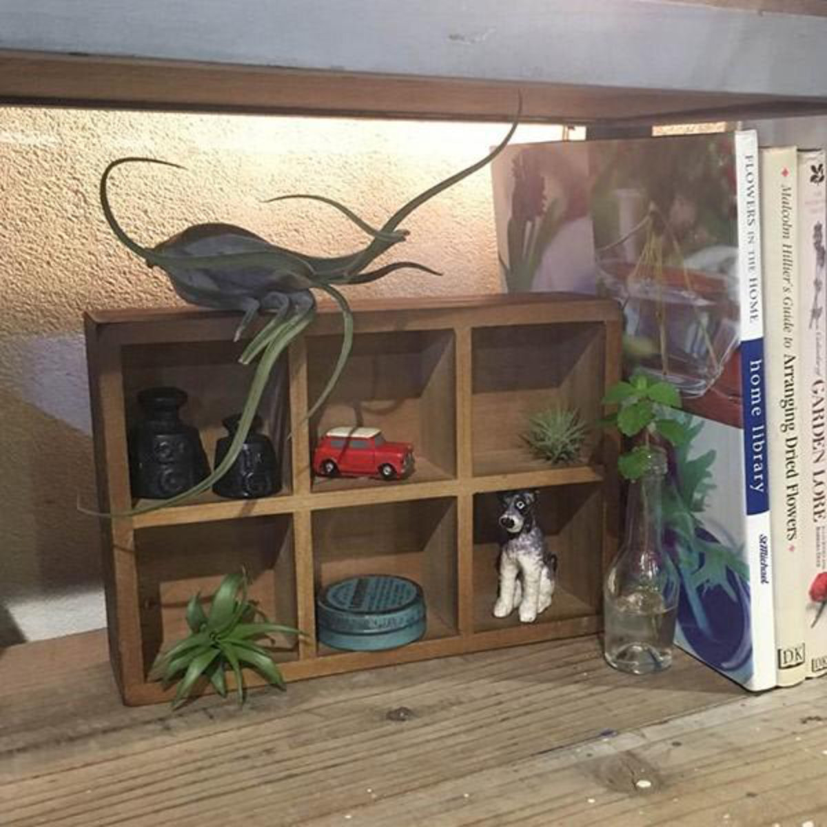 DULTON（ダルトン） 小物収納 DULTON 6 PARTITION WOODEN BOX H65