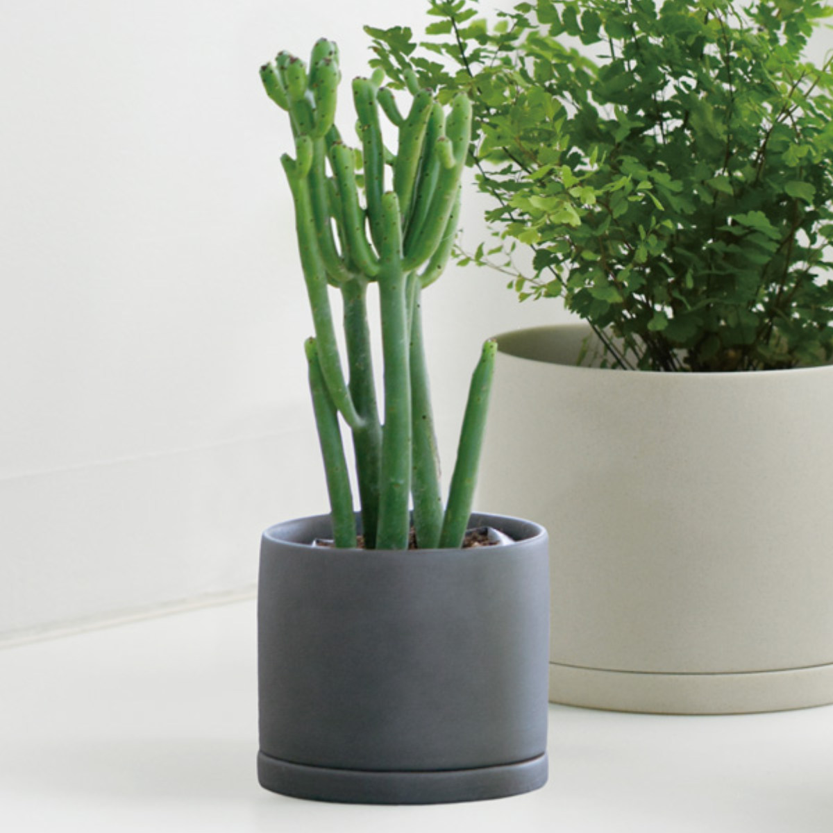 KINTO（キントー） プランター 8.5cm プラントポット 磁器 （ 植木鉢