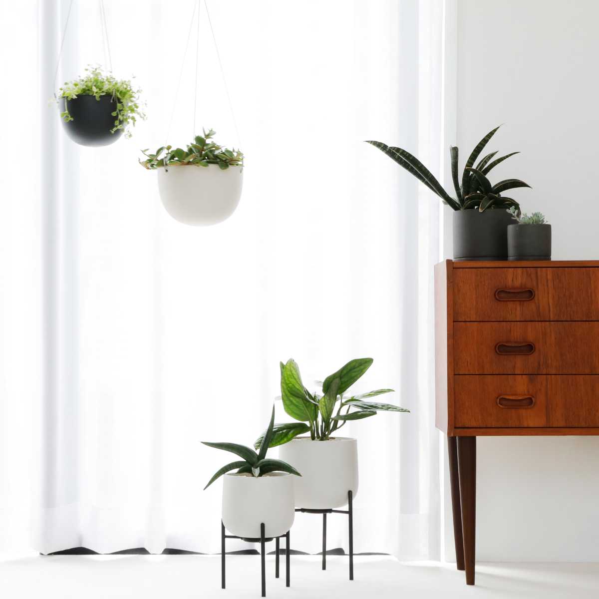 KINTO（キントー） プランター 8.5cm プラントポット 磁器 （ 植木鉢