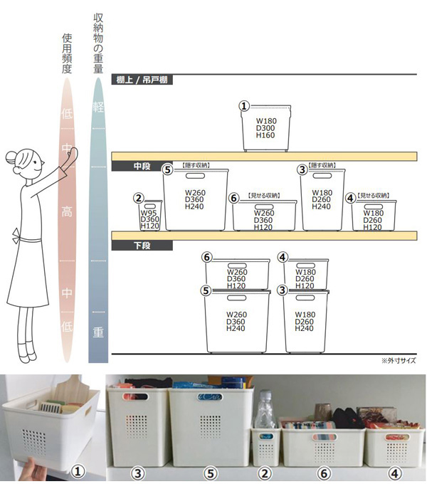 キッチン収納ケース シューノ M ハーフ 幅1...の詳細画像5