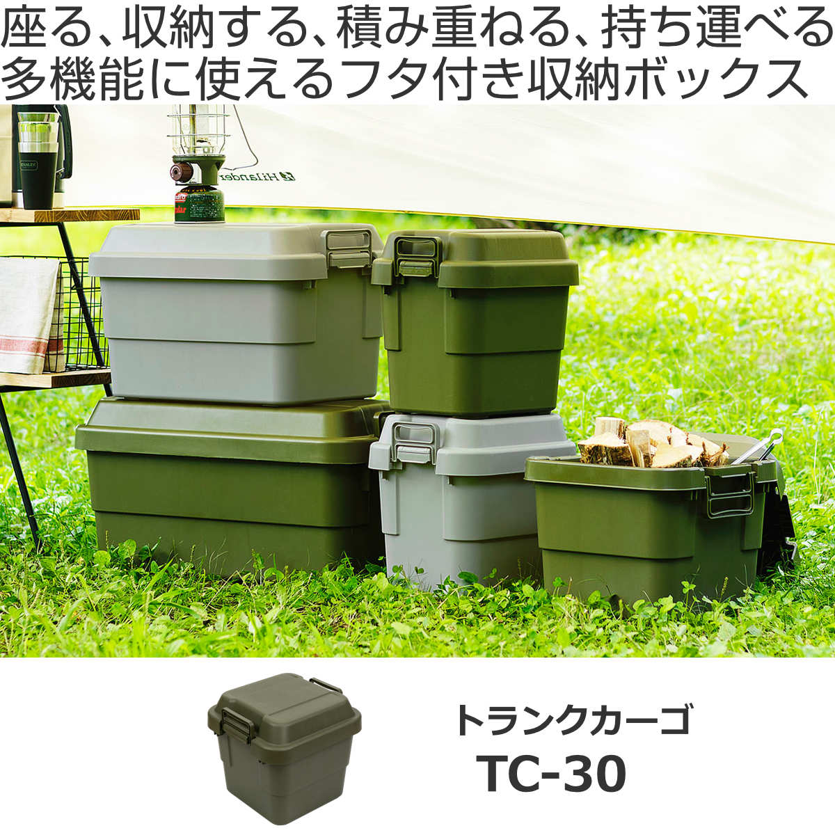 RISU（リス） 収納ボックス 幅40×奥行39×高さ37cm トランクカーゴ