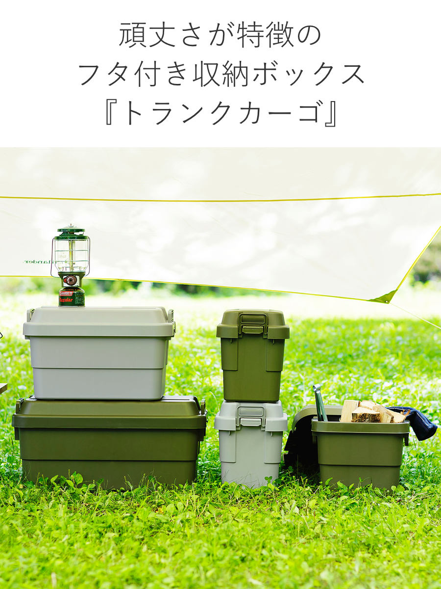 RISU（リス） 収納ボックス 幅40×奥行39×高さ37cm トランクカーゴ
