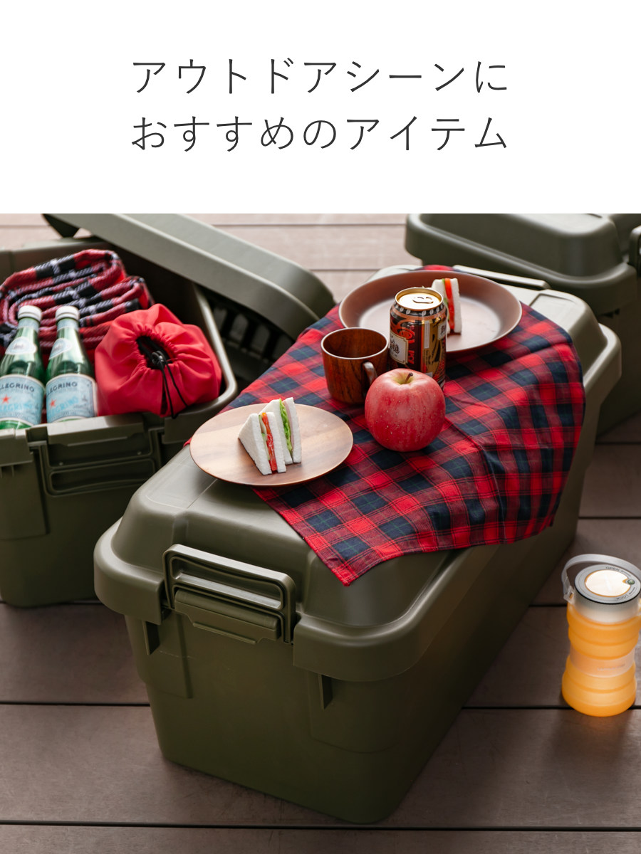 RISU（リス） 収納ボックス 幅40×奥行39×高さ37cm トランクカーゴ