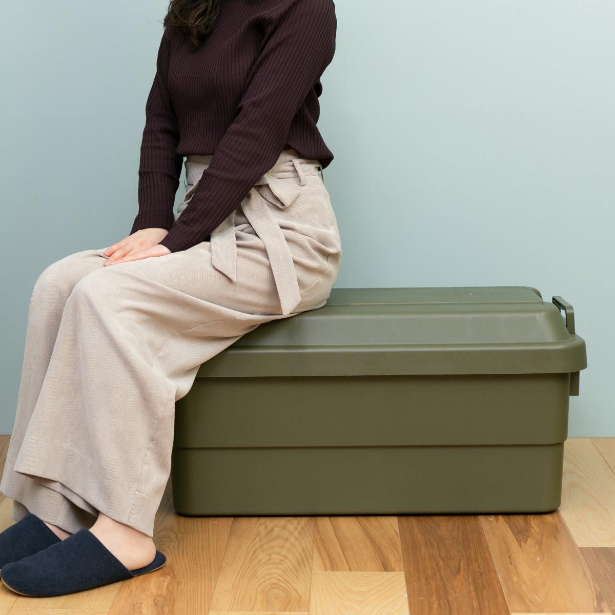 RISU（リス） 収納ボックス 幅78×奥行39×高さ37cm トランクカーゴ