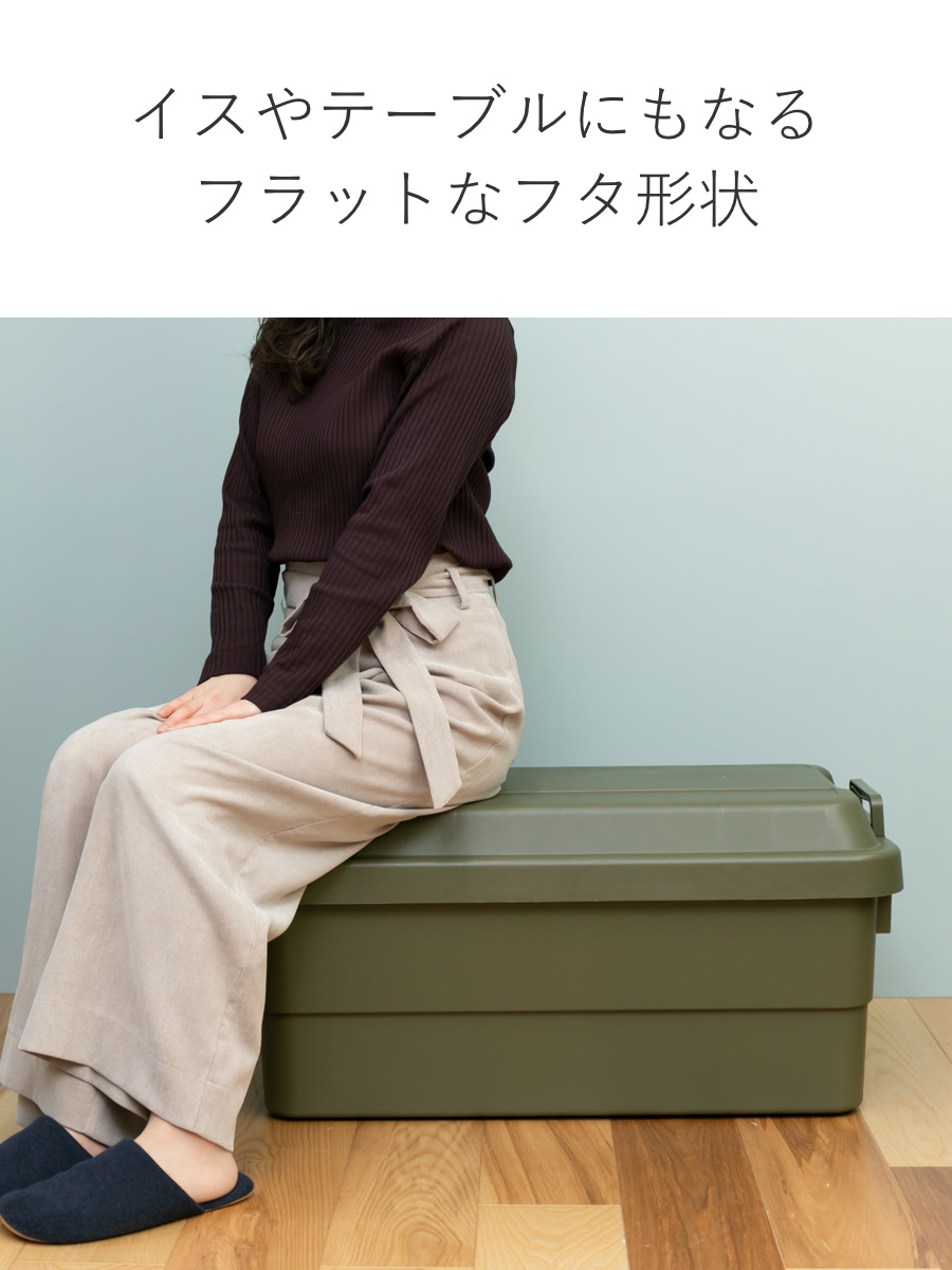 RISU（リス） 収納ボックス 幅78×奥行39×高さ37cm トランクカーゴ