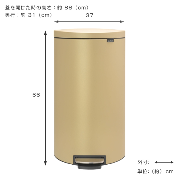 ゴミ箱 ブラバンシア brabantia フラットバック 30リットル ペダル式