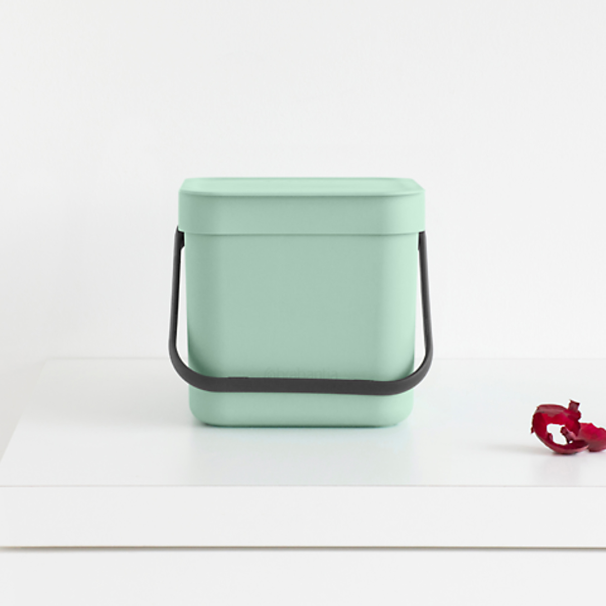 brabantia（ブラバンシア） ゴミ箱 6L ソート＆ゴー ウェイストビン