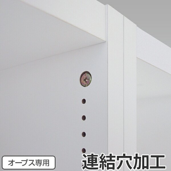 連結穴加工（オープス専用） （ 加工オプション 加工 オーダー