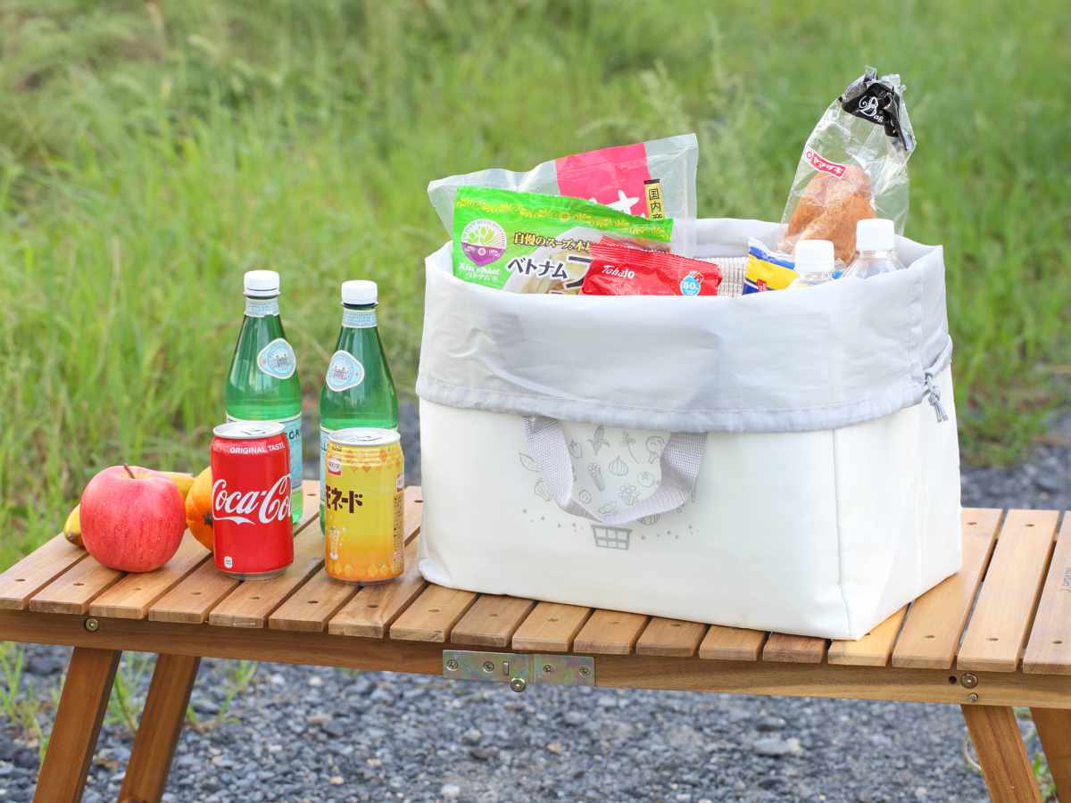 エコバッグ 保冷 18L レジカゴ inバッグ （ 折り畳み マチ広 レジカゴ