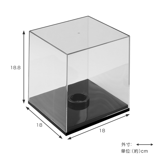 コレコレサイン入りボール本物　➕グッズなど コレクションケース サインボール 卓上 クリアケース クリア 透明 収納