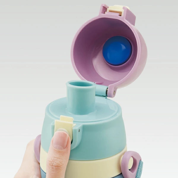スケーター 水筒 ステンレス 直飲み 3Dロック付ダイレクトボトル アナ