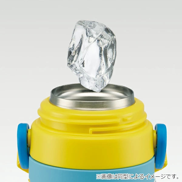 スケーター 水筒 ステンレス 直飲み 3Dロック付ダイレクトボトル アナ