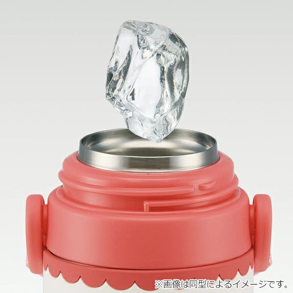 スケーター 水筒 480ml 3Dロック付ダイレクトボトル ピカチュウ21