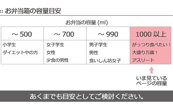 年末のプロモーション特価！ スケーター 行楽弁当箱 弁当箱 大型 リサラーソン スケッチ 1.3L 日本製 PLF13 armonia.com.gt