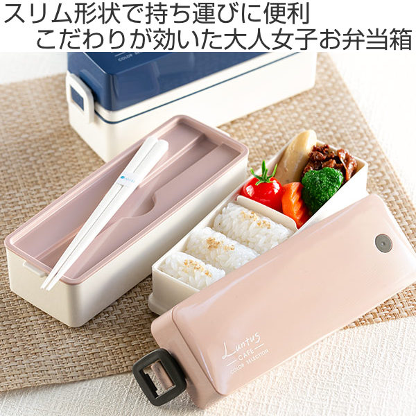 アスベル（ASVEL） 弁当箱 600ml 2段 箸付 2点ロック スリム C