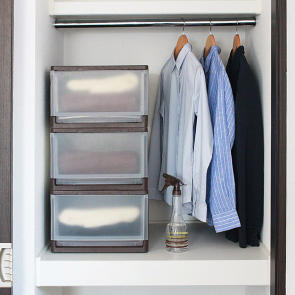 JEJアステージ 収納ボックス ストラ クローゼット 棚上 幅34×奥行42×高