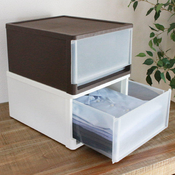 JEJアステージ 収納ボックス ストラ クローゼット 棚上 幅34×奥行42×高