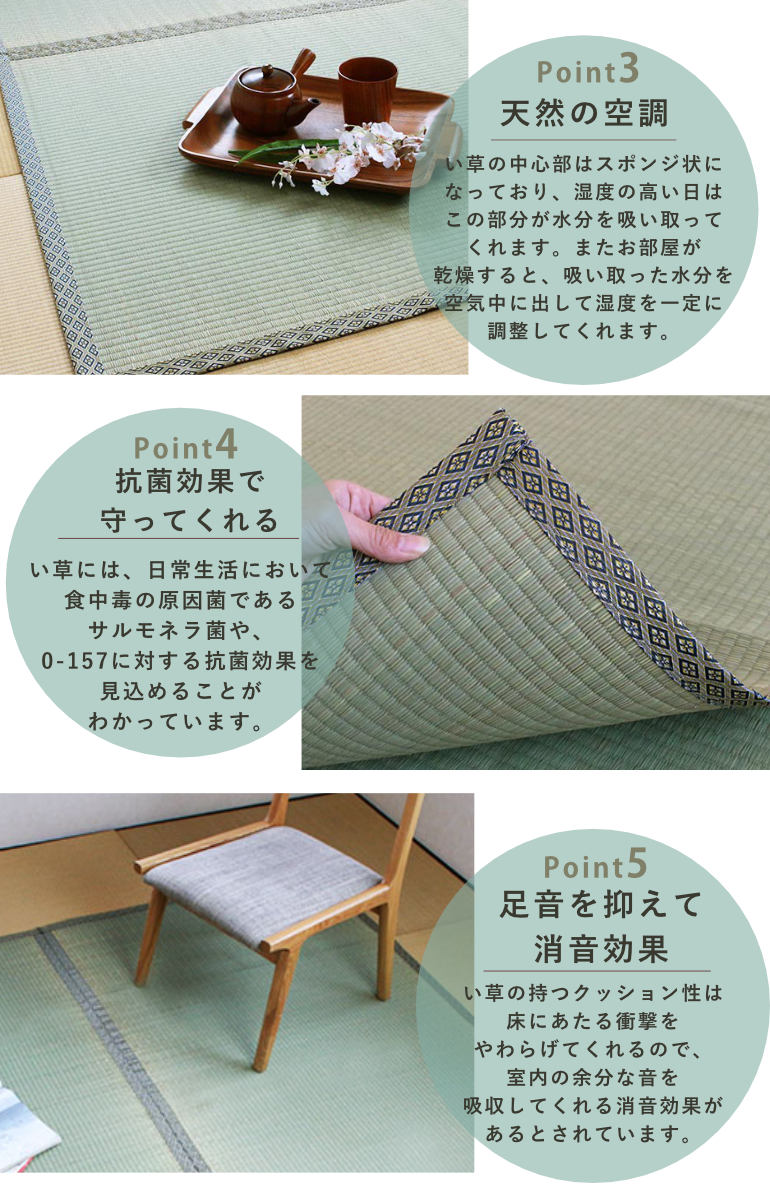 大島屋 ラグ い草 上敷き 白山 江戸間 双目 6畳 （ い草ラグ い草
