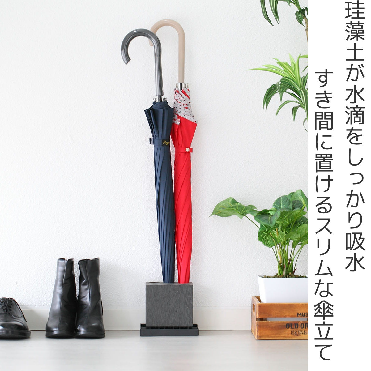 karari 傘立て スリム 珪藻土 6本 ストレート （ お手入れ簡単 傘