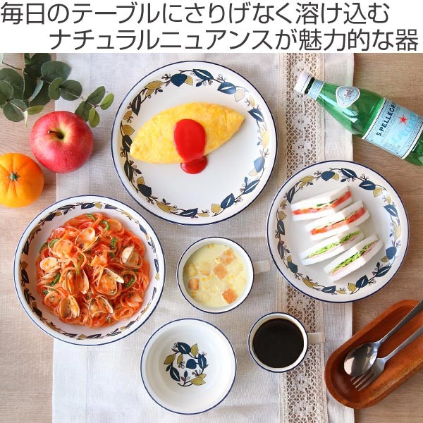 カレー＆パスタ皿 22cm ラッシュ LUSH 皿 食器 洋食器 硬質陶器 日本製