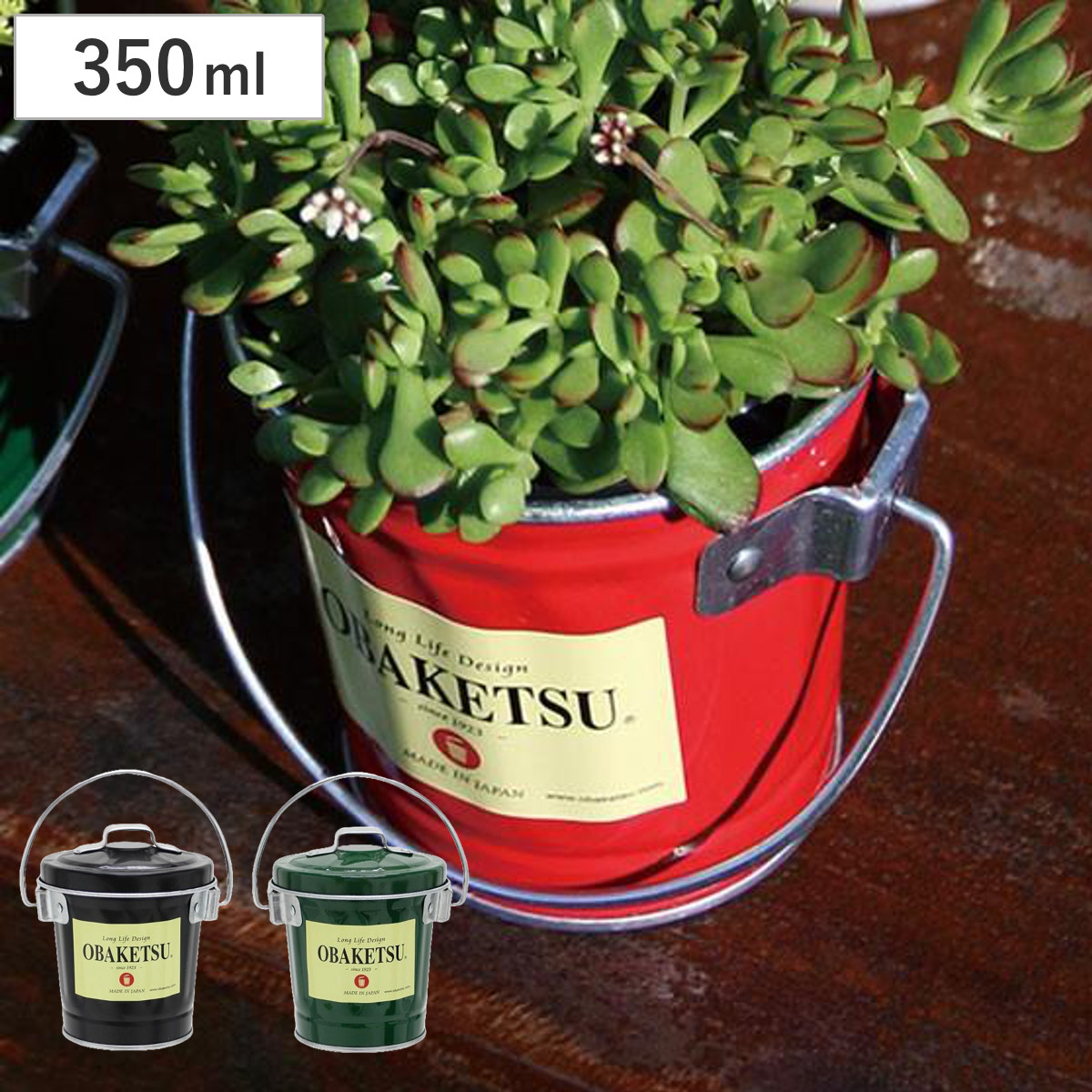 �o�P�c 0.35L �~�j�I�o�P�c �I�o�P�c OBAKETSU ���΂��� ������ ��� ���g�� ������� ���b�h �i �΂��� �~�j�o�P�c ���[ �~�j�S�~�� �������� �j