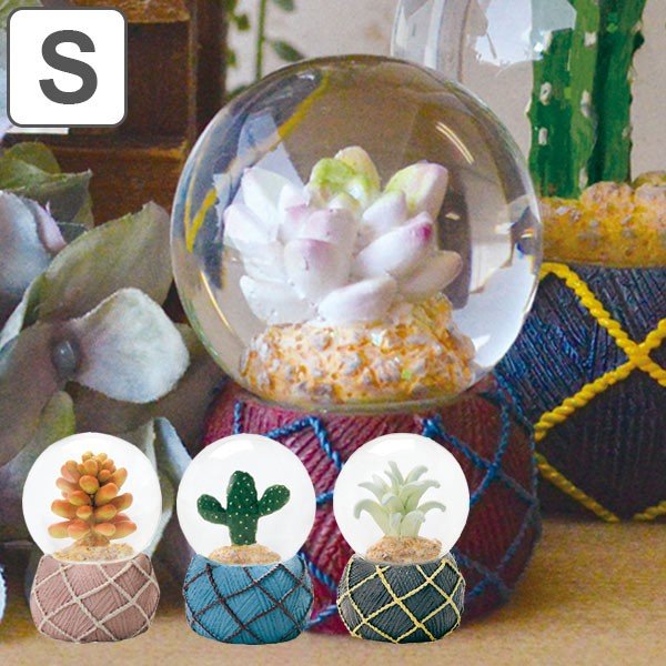 スノードーム テラリウム S 多肉植物 完成品 （ スノーグローブ